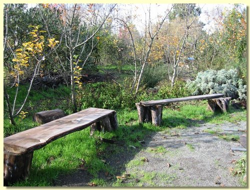 Community Benches.jpg