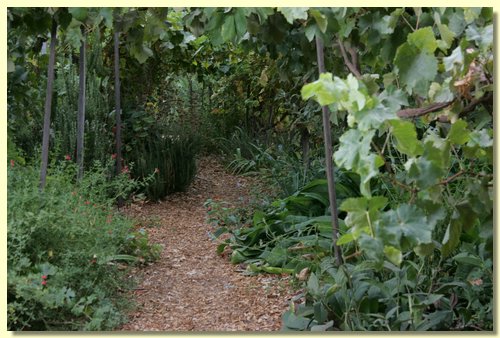 Garden Path.jpg