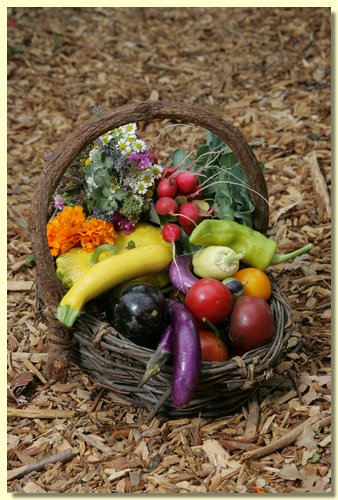 Harvest Basket.jpg