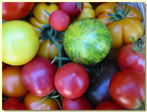 Heirloom Tomatoes.jpg