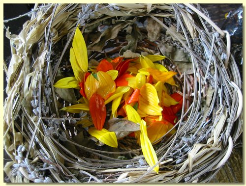 Nest with Flower Petals.jpg