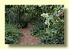 Garden Path.jpg
